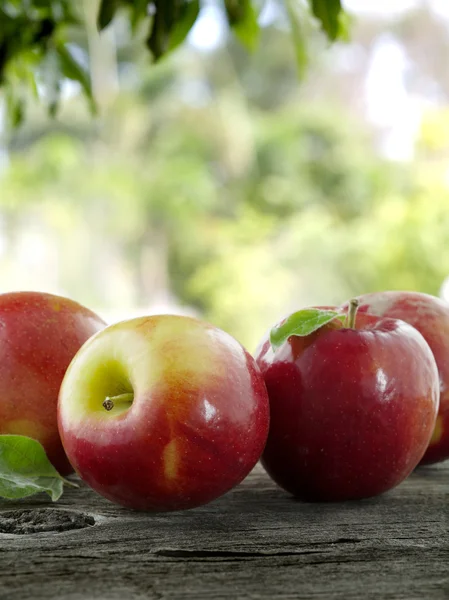 Apples apples apples apples apples apples apples apples — Stock Photo, Image