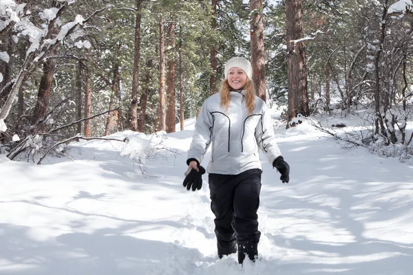 Vintern promenad vinterpromenad — Stockfoto