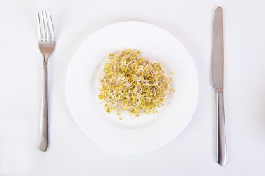 bir tabakta lahanası