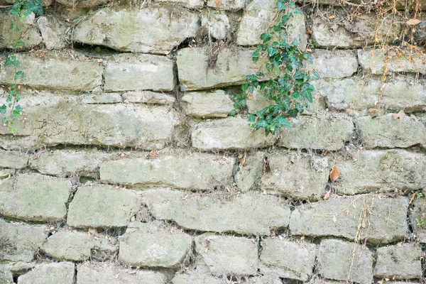 Piedra, fondo gris —  Fotos de Stock