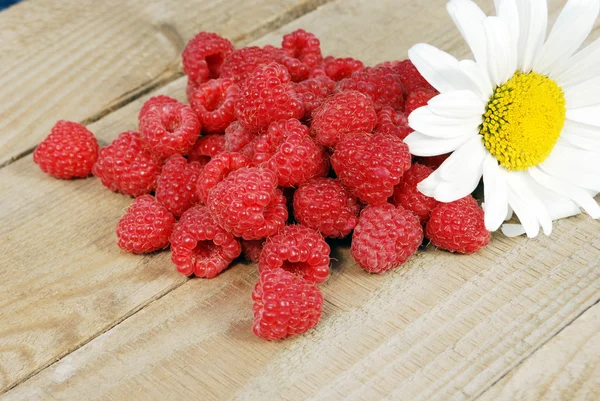 Raspberries and camomile flowers on a wooden board — Stock Photo, Image