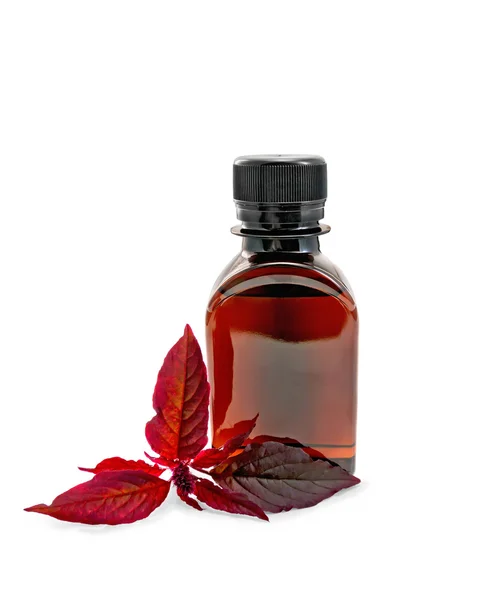 Öl mit Amaranth in dunkler Flasche — Stockfoto