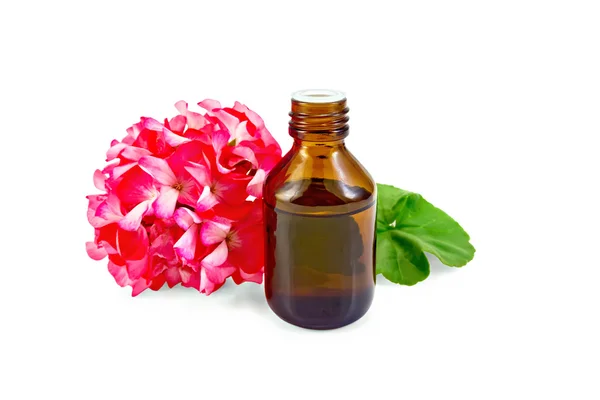 Olio con gerani rosa in bottiglia scura — Foto Stock