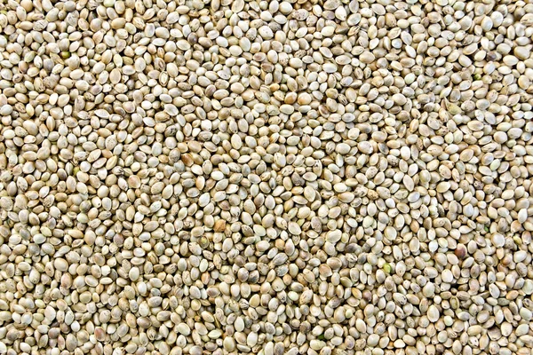 A hemp seeds — Stock Photo, Image