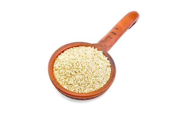 Sezamová semínka v naběračka — Stock fotografie