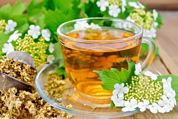 Tea Viburnum blommor i glas kopp på trä kartong — Stockfoto