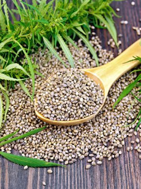Yaprak tahta kaşıkla tahıl kenevir