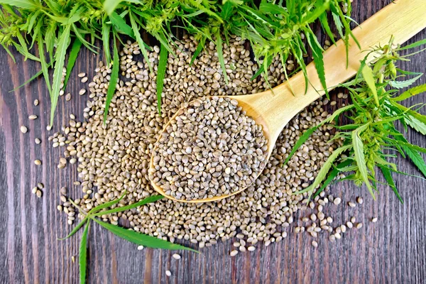 Cáñamo de grano en cuchara en la parte superior del tablero oscuro — Foto de Stock