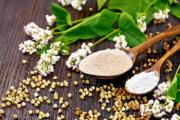 Farinha Trigo Sarraceno Cereais Marrons Verdes Duas Colheres Flores Folhas — Fotografia de Stock