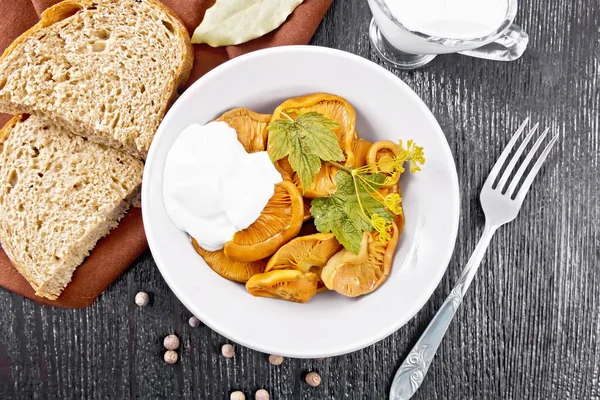 Azafrán Setas Saladas Con Crema Agria Hoja Grosella Ramita Eneldo —  Fotos de Stock