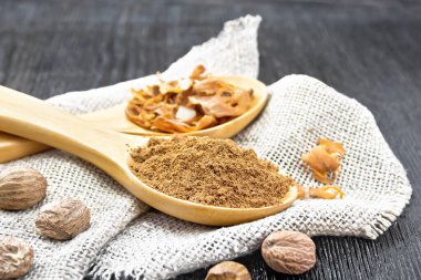 Hindistan cevizi ve kurutulmuş hindistan cevizi arillus iki kaşıkta, fındıklar koyu tahta bir arka planda çuval bezinde