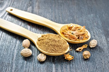 Yerden hindistan cevizi ve kurutulmuş hindistan cevizi arillus iki kaşık içinde, tahtadan bir arka planda fındıklar.