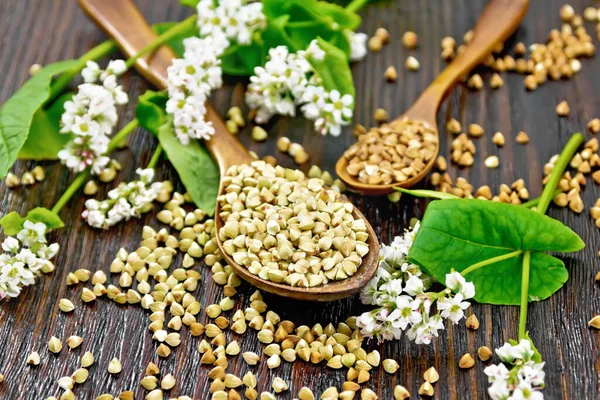 Green Brown Buckwheat Groats Two Spoons Leaves Flowers Dark Wooden —  Fotos de Stock