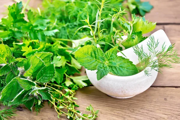 Leaves Sprigs Mint Dill Tarragon Thyme Celery Parsley Stone Mortar — Stock Photo, Image