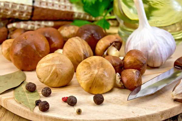 Greasers with spices on board — Stock Photo, Image