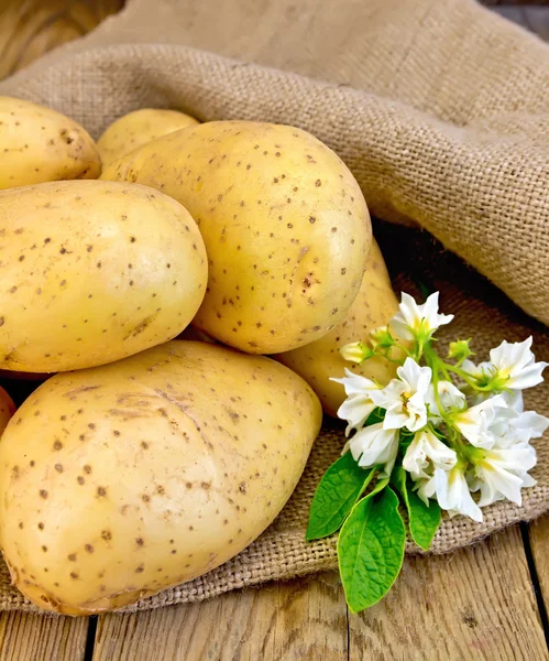 Batatas amarelas com flor em pano de saco e placa — Fotografia de Stock