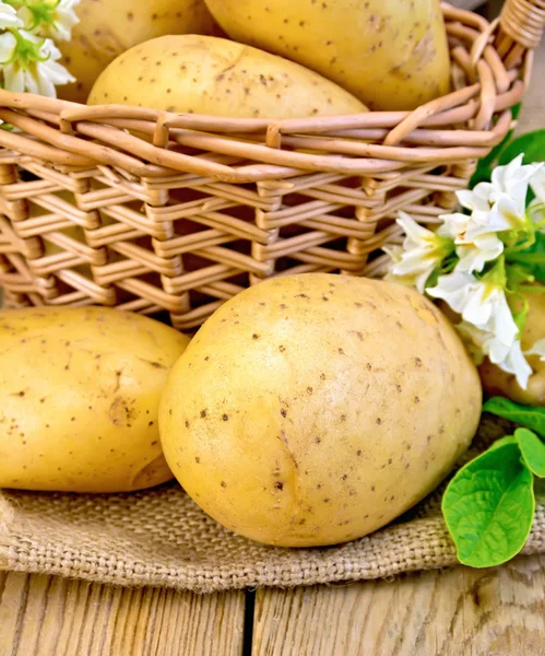 Potatoes yellow with flower and basket on wooden board — Stock Photo, Image