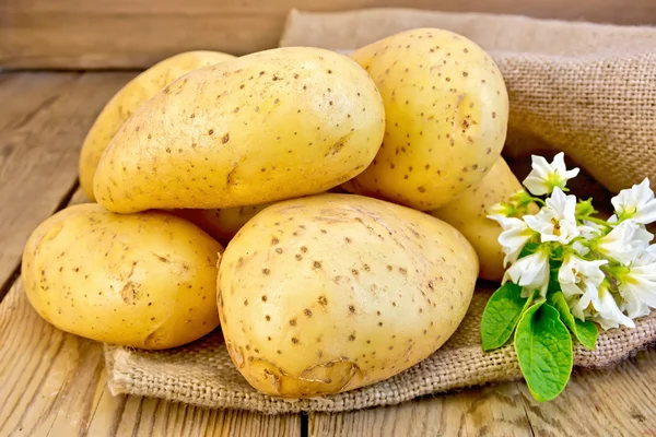 Batatas amarelas com flor no saque — Fotografia de Stock