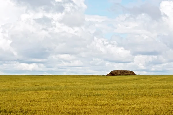 Grain field with haystacks — Stock Photo, Image
