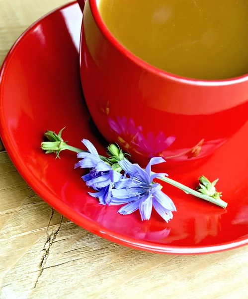 Bebida de chicória em copo vermelho e flor a bordo — Fotografia de Stock