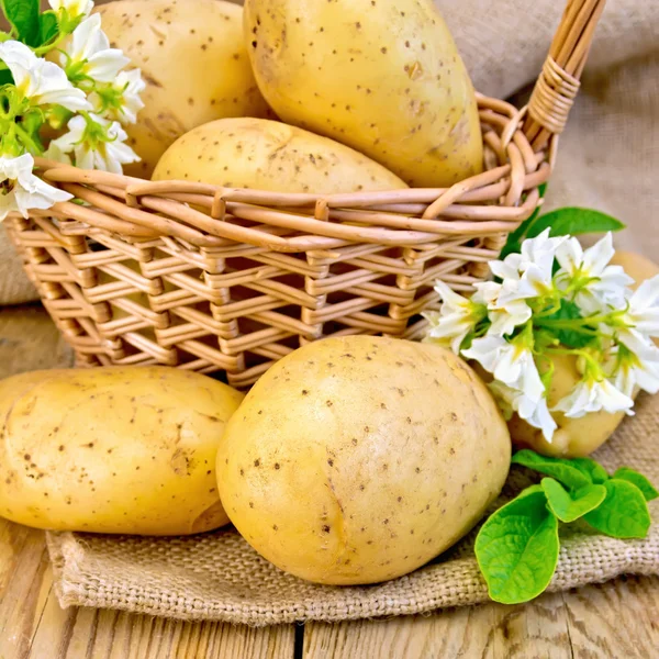 Patatas amarillas con flor y cesta a bordo y saco —  Fotos de Stock