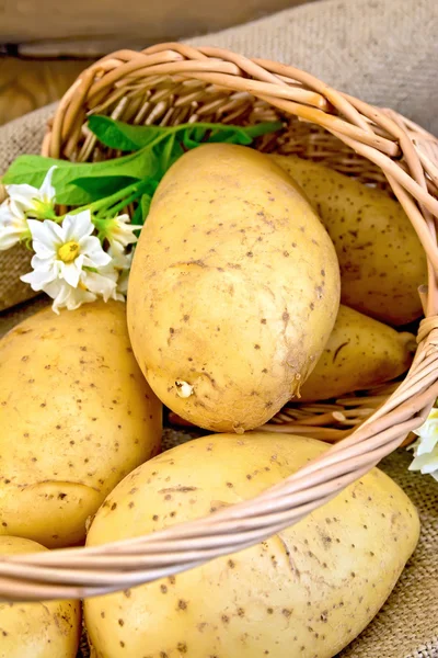 Potatoes yellow with flower in basket on sackcloth and board — Stock Photo, Image