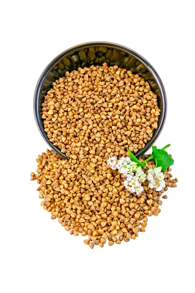 Buckwheat in brown bowl with flower — Stock Photo, Image