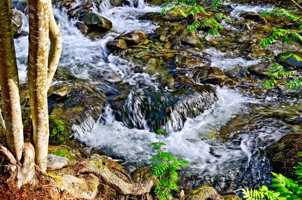 Montaña del río con cascadas —  Fotos de Stock