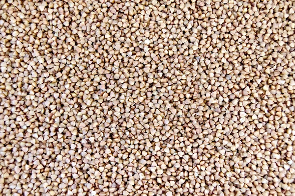 Buckwheat brown texture — Stock Photo, Image