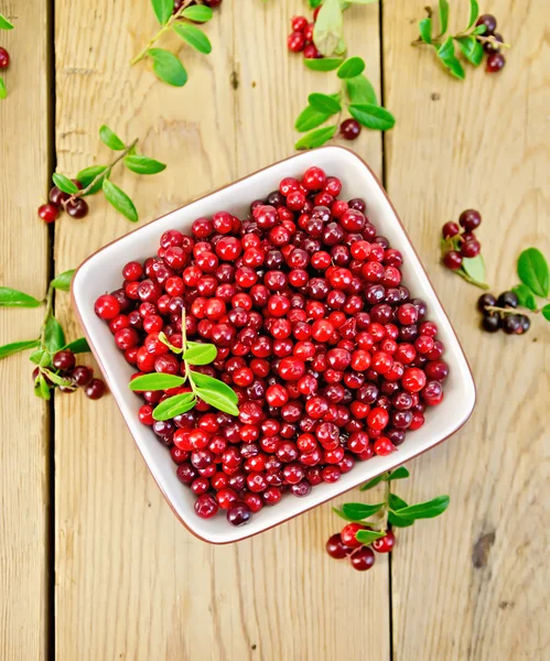 Lingonberry red with leaves in bowl on board — Stock Photo, Image