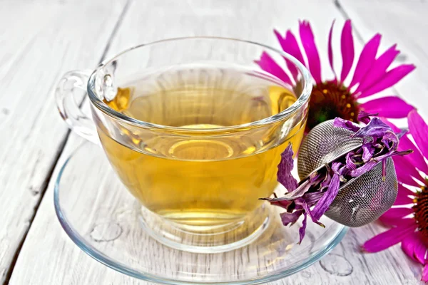 Te Echinacea i glas cup med sil ombord — Stockfoto