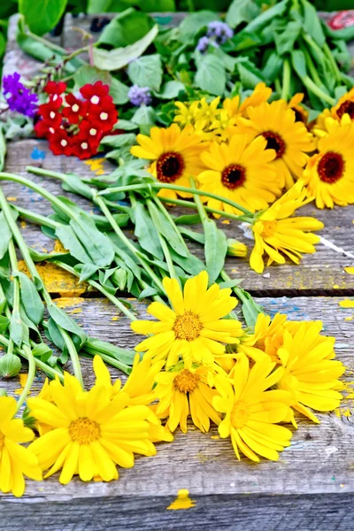 Ringelblume gelb auf älteren Brettern — Stockfoto