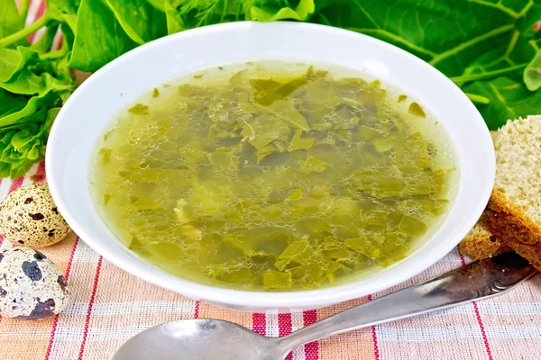 Soup of greenery on linen fabric — Stock Photo, Image