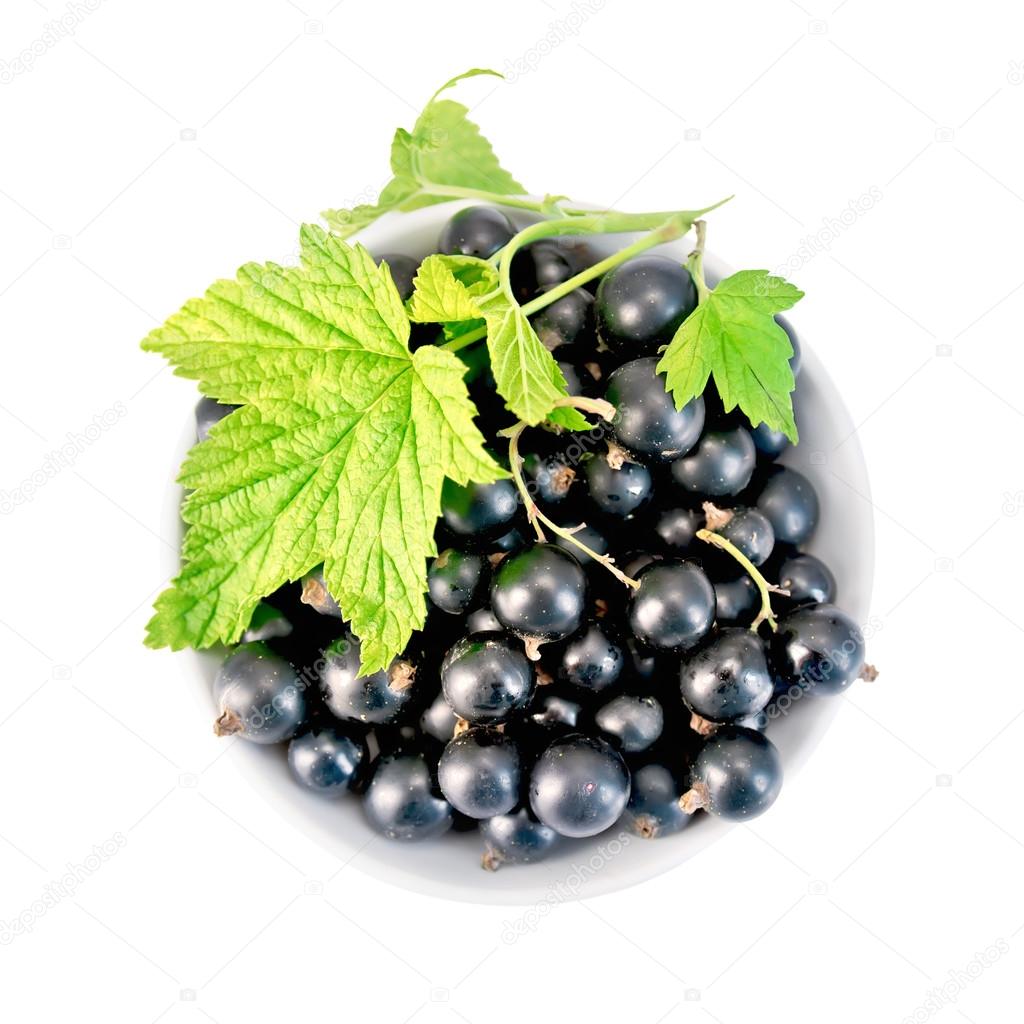 Black currants in bowl with leaf on top