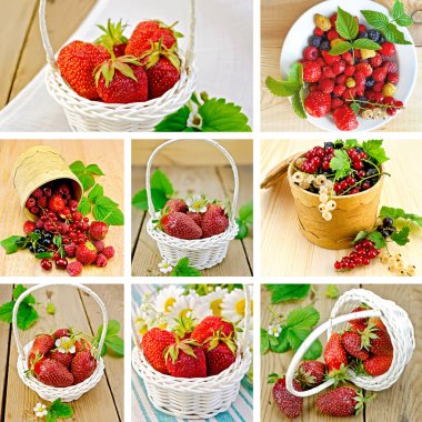 Berries on background set clipart