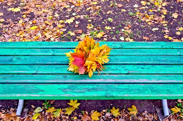 Javorové listy na zelené lavičce — Stock fotografie