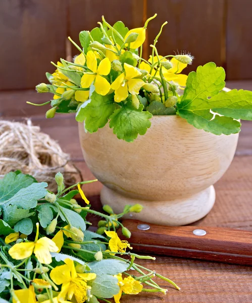 Celandine in mortar on board — Stock Photo, Image