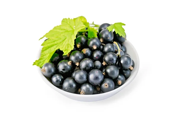 Black currants in bowl with leaf — Stock Photo, Image