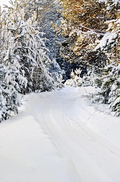 Camino de tierra cubierta de nieve — Foto de Stock