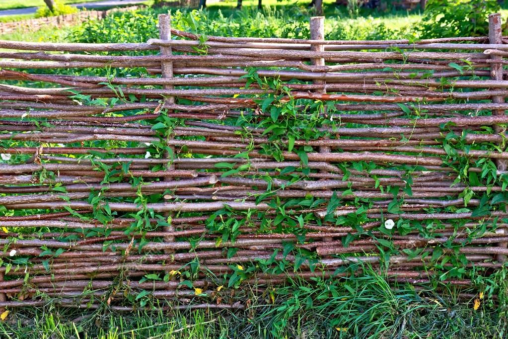 плетень для клумбы. плетень забор. оберег плетень своими руками. забор плетень лоза. ивовая изгородь плетень.
