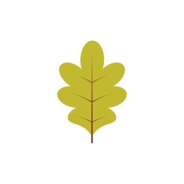 İzole meşe yeşil yaprak