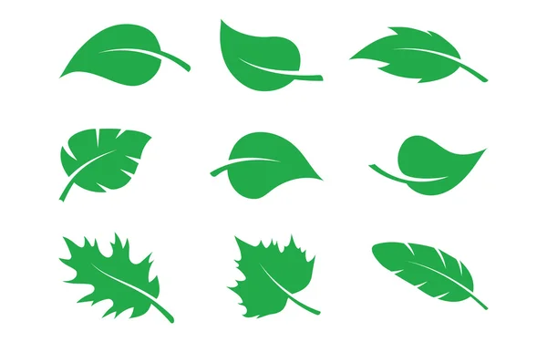 초록빛 잎 — 스톡 벡터