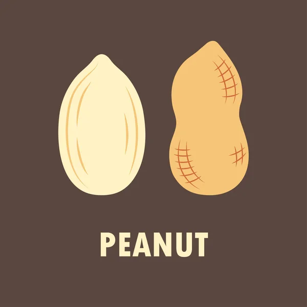 Vector Illustration Peanut Isolated Brown Background Flat Design — Stock Vector