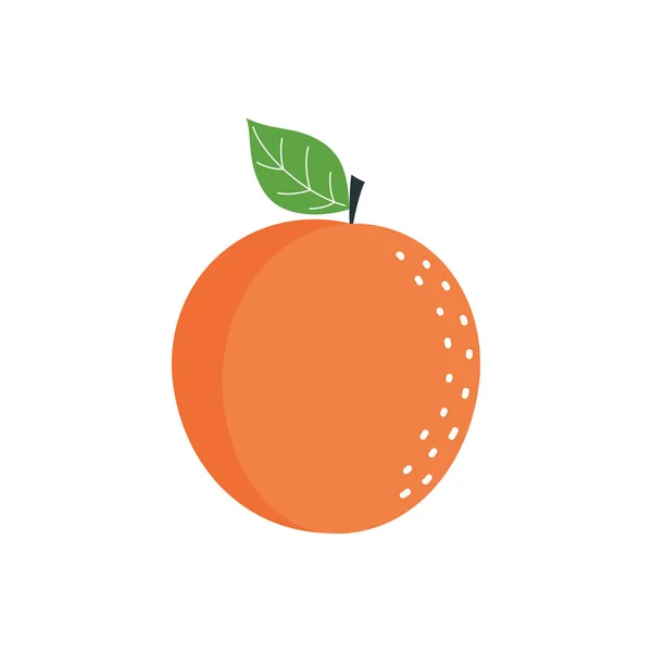 Illustration Vectorielle Abricot Style Plat Isolé Sur Fond Blanc Fruit — Image vectorielle