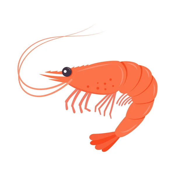 Camarones Hervidos Langostinos Tigre Aislados Sobre Fondo Blanco Ilustración Vectorial — Vector de stock