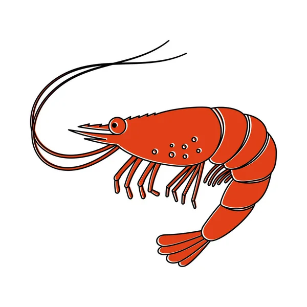 Shrimp Icon Tiger Prawns Fresh Seafood Isolated White Background Vector — Stock Vector