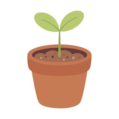 seedling of young plant in flower pot isolated on white background, green shoots of plant, gardening and agriculture vector illustration in flat style