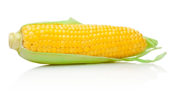 Ear of corn isolated on a white background — Stock Photo, Image