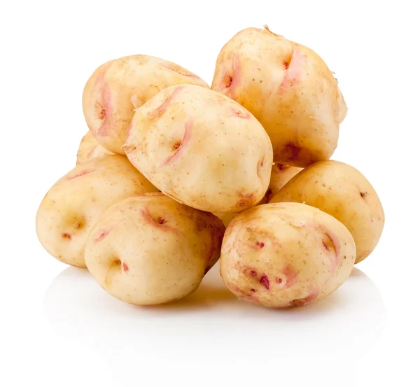 Νέα πατάτα απομονωμένη σε λευκό φόντο — Φωτογραφία Αρχείου
