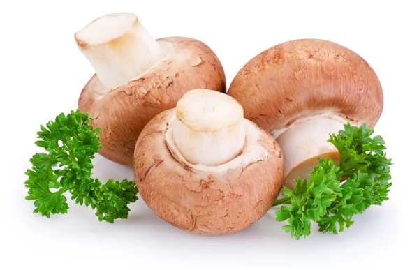 Three mushroom and green leaves of parsley isolated on white bac — Stock Photo, Image